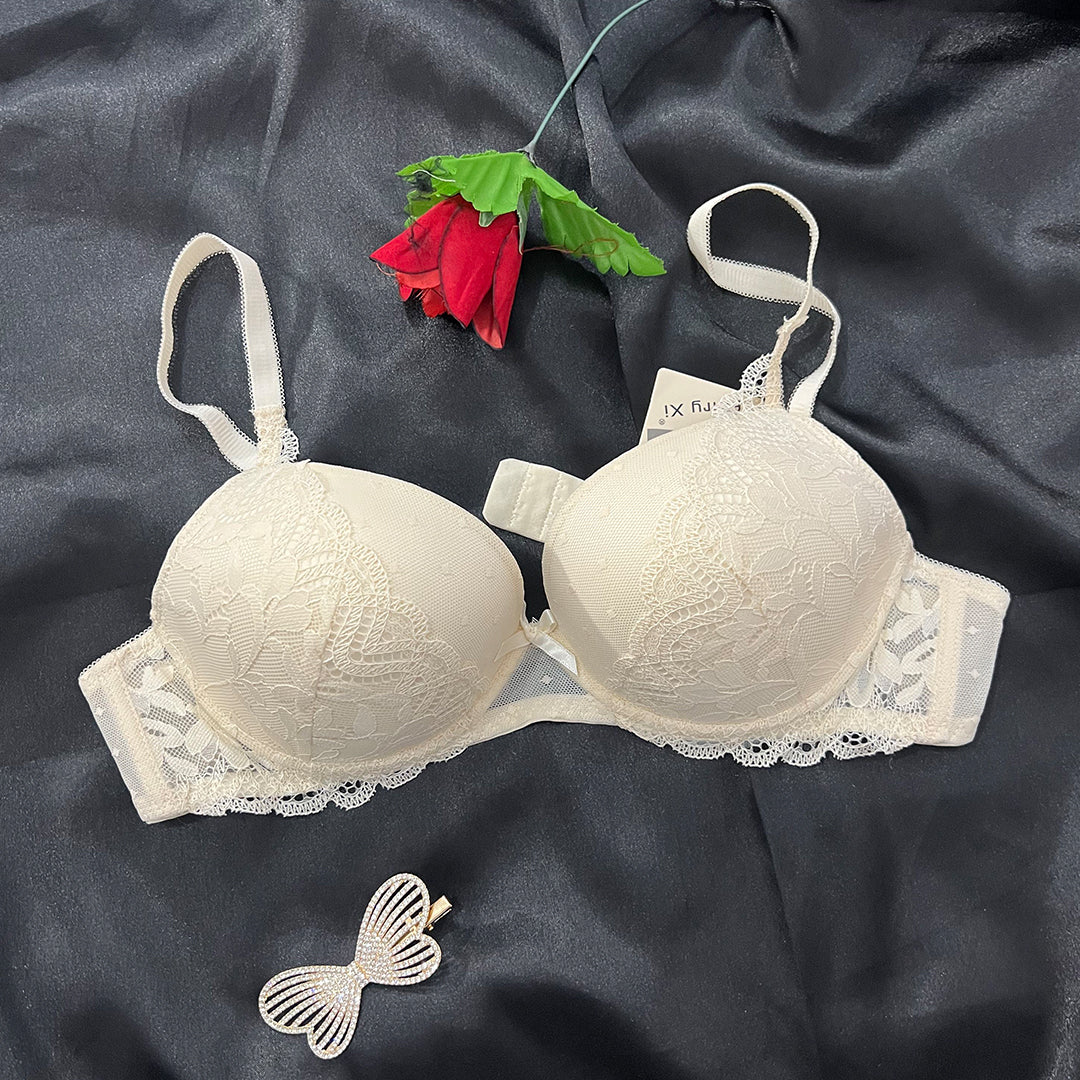 Border Lace Wired Pushup Bra | C size for Women BR009