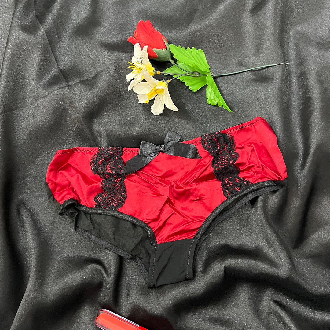 article fancy pentise stuff fancy silk + net for Women, Back Net