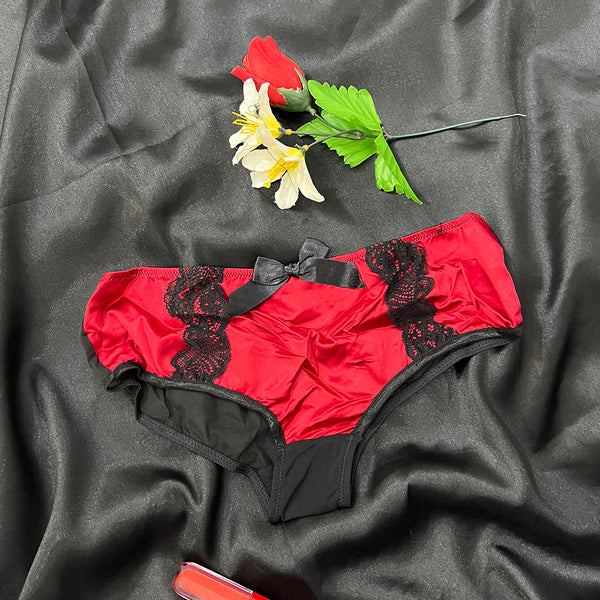 article fancy pentise stuff fancy silk + net for Women, Back Net